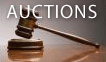 auction_logo